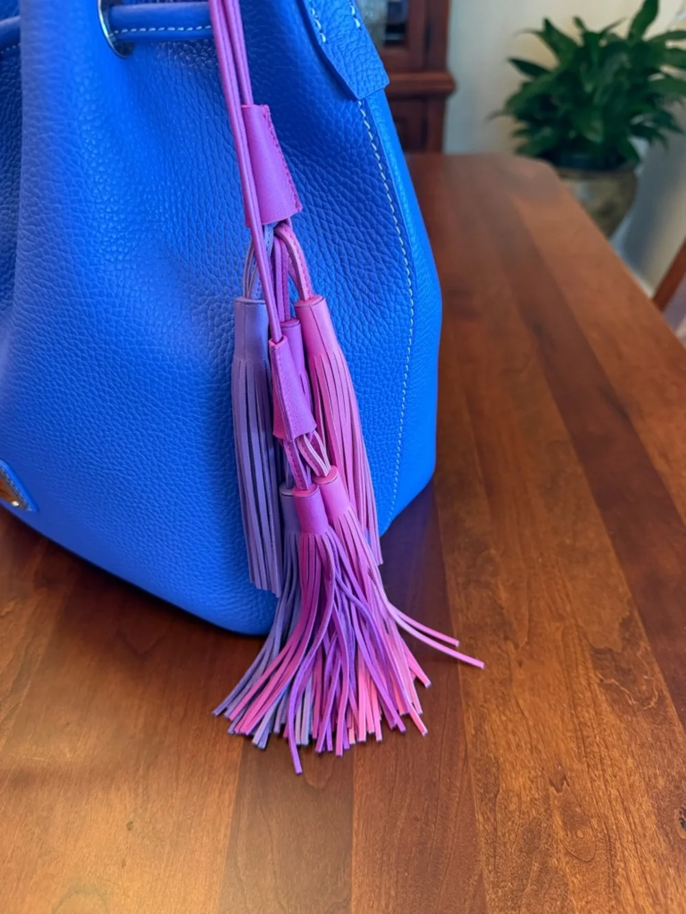 NWOT Dooney & Bourke Lucca Leather Drawstring Bag with Multi-Color Tassels - Picture 13 of 16